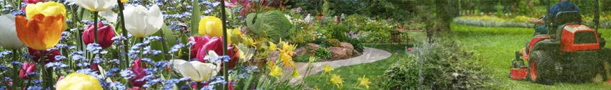 Chicago Landscaping, Chicago Landscaper